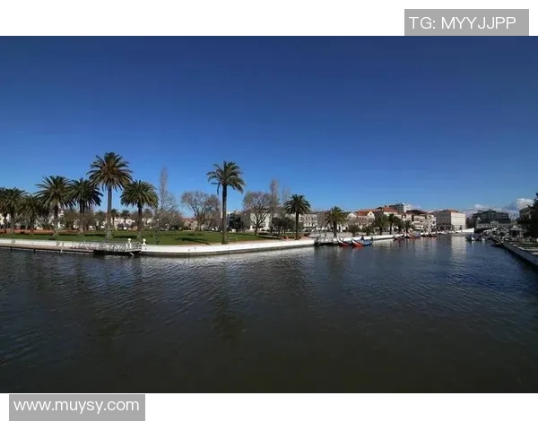 探索阿维罗的魅力：历史文化与自然风光的完美融合之旅