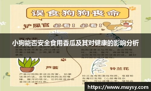 小狗能否安全食用香瓜及其对健康的影响分析