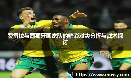 费雷拉与葡萄牙国家队的精彩对决分析与战术探讨